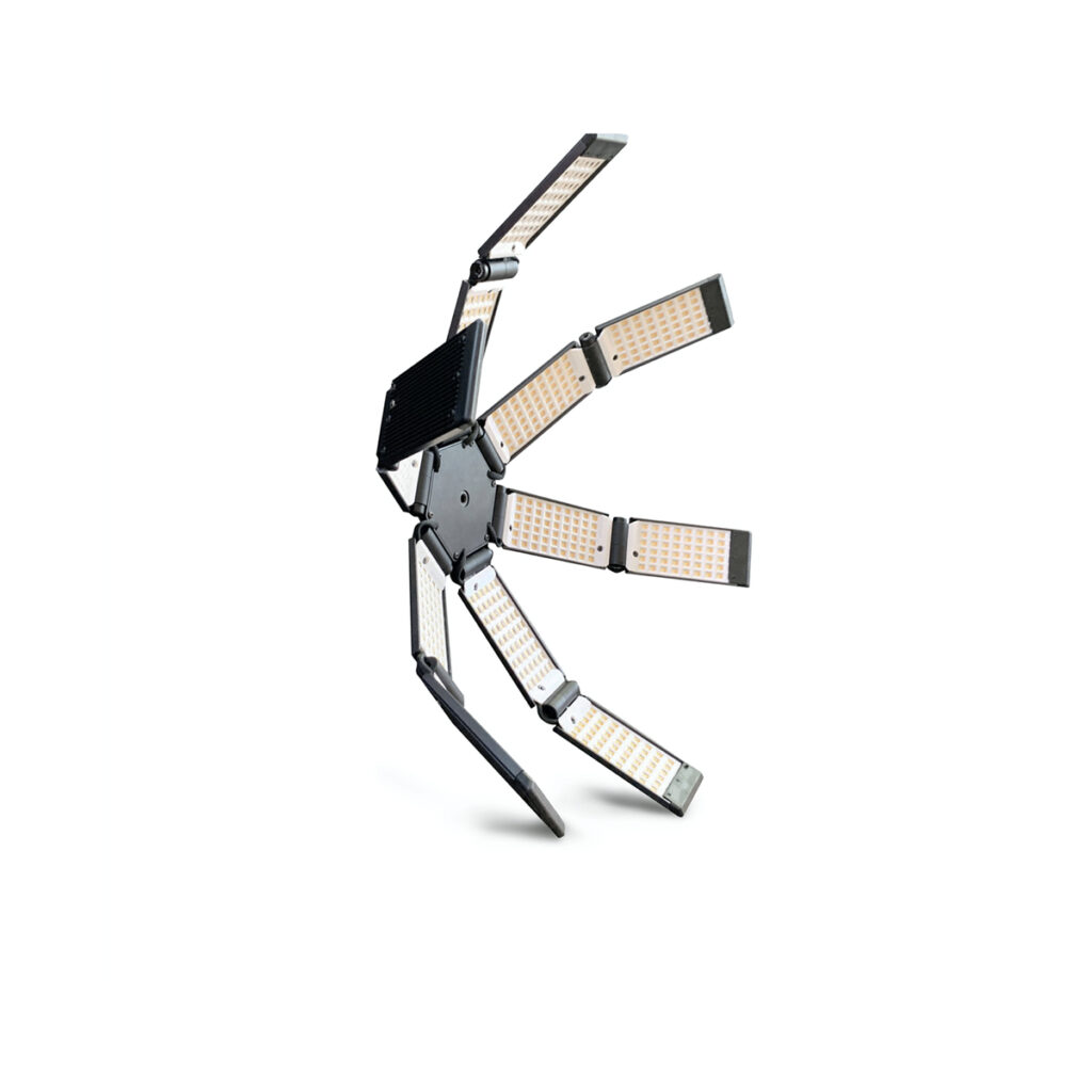 Hudson Spider Mozzie