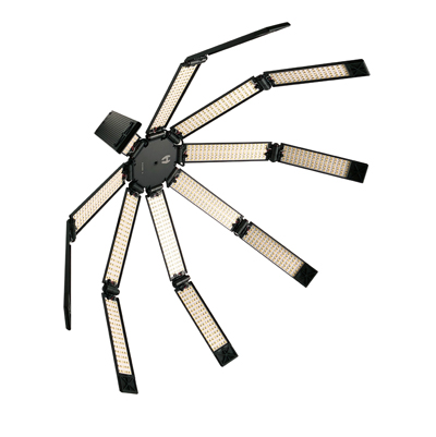 Hudson Spider Redback